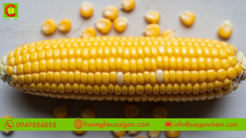 Lưu ý sử dụng và bảo quản nơi khô ráo