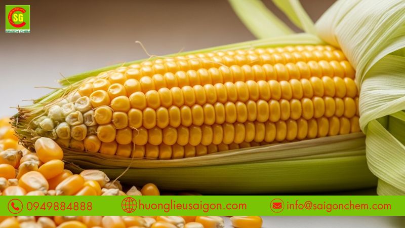 Tạo mùi bắp thơm tự nhiên và ổn định khi chế biến