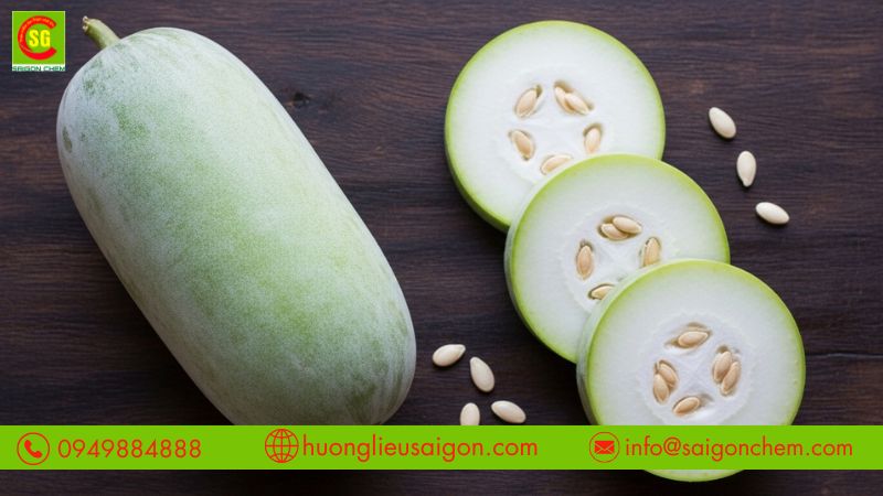 Khả năng tạo mùi bí đao thanh mát tự nhiên