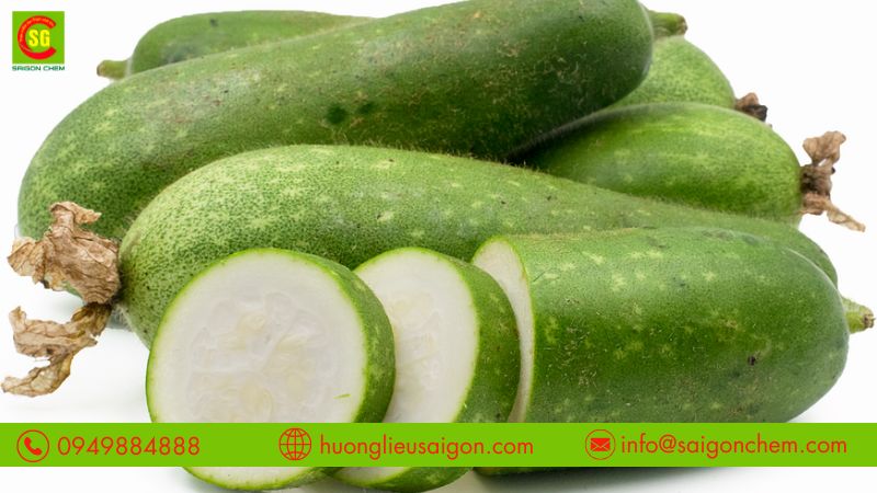 Hương bí đao có giống bí dao tươi không